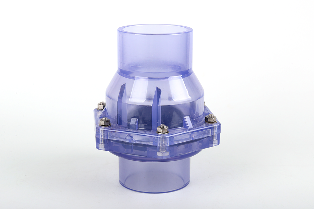 红坪镇透明翻板式止回阀